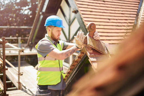 Best Roof Gutter Cleaning  in Malaga, NJ